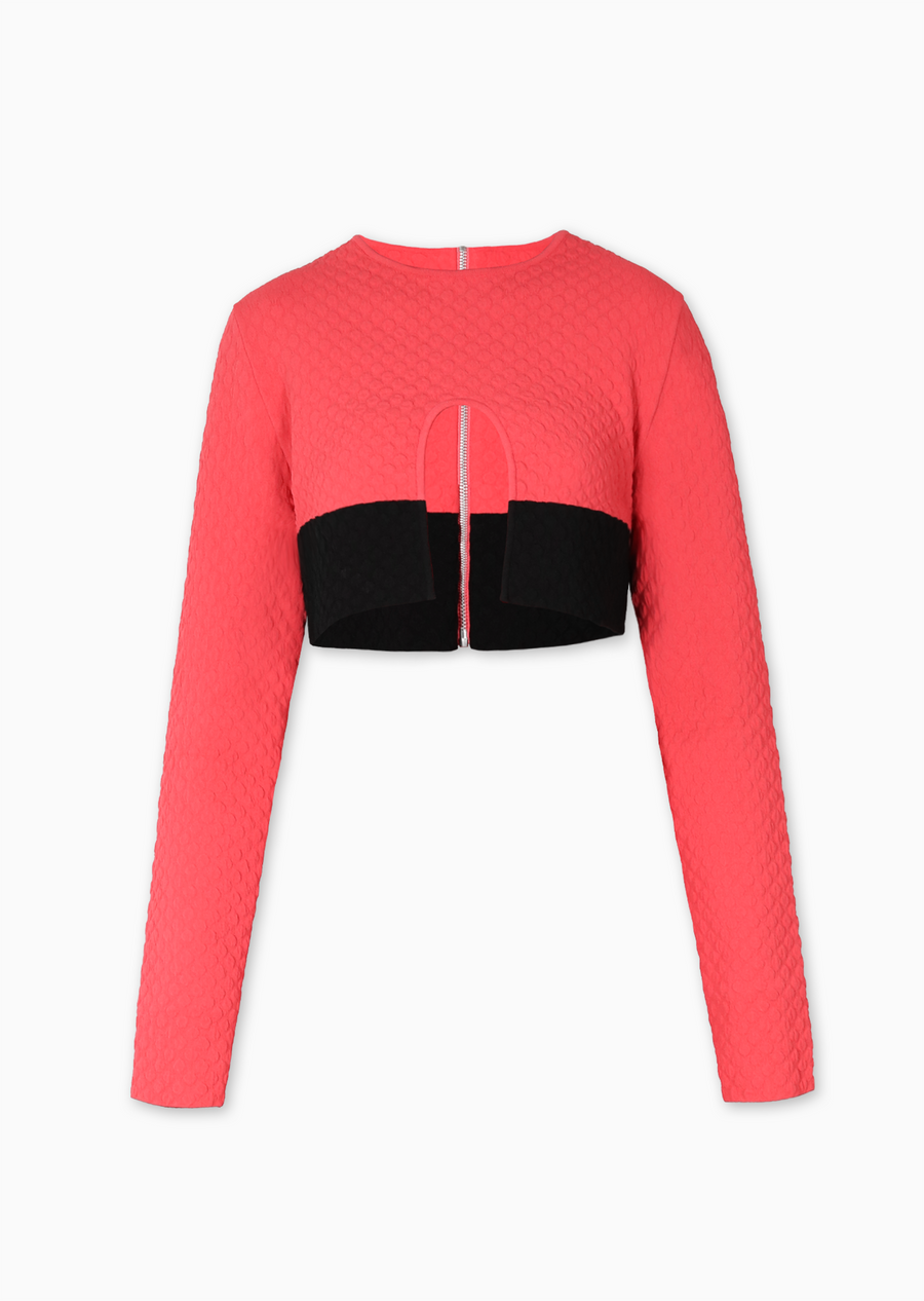 coral